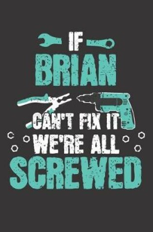 Cover of If BRIAN Can't Fix It