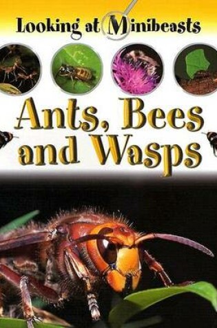 Cover of Ants, Bees and Wasps
