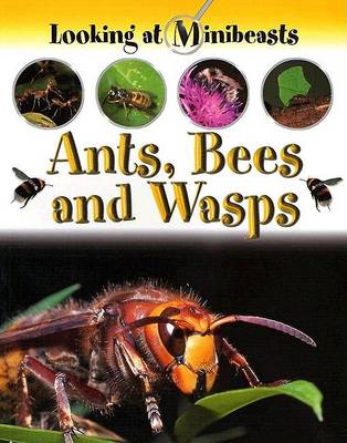 Book cover for Ants, Bees and Wasps