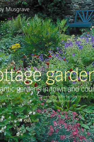 Cover of Courtyard Gardens