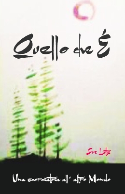 Book cover for Quello Che E