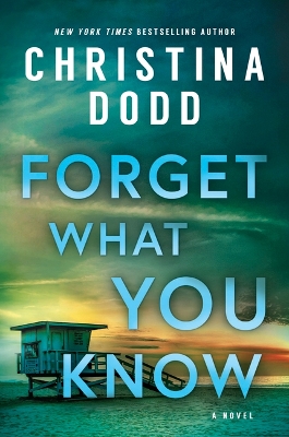 Book cover for Forget What You Know