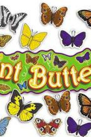 Cover of 3-D Butterflies! Bulletin Board