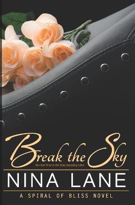 Book cover for Break the Sky
