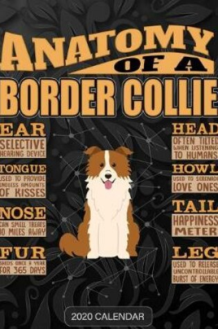 Cover of Anatomy Of A Border Collie