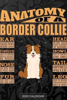 Book cover for Anatomy Of A Border Collie