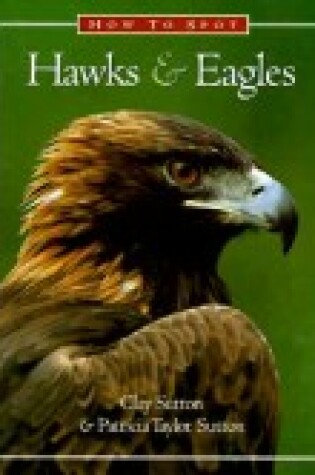 Cover of How to Spot Hawks & Eagles