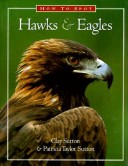 Book cover for How to Spot Hawks & Eagles