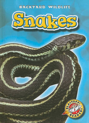 Book cover for Snakes