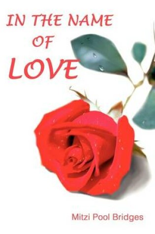 Cover of In the Name of Love