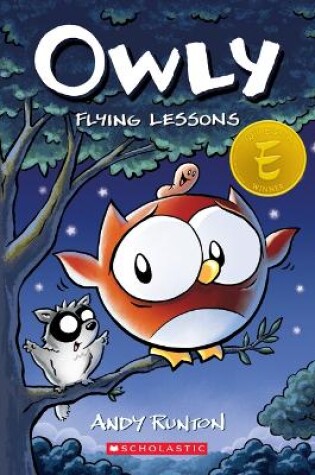 Cover of Flying Lessons: A Graphic Novel (Owly #3): Volume 3