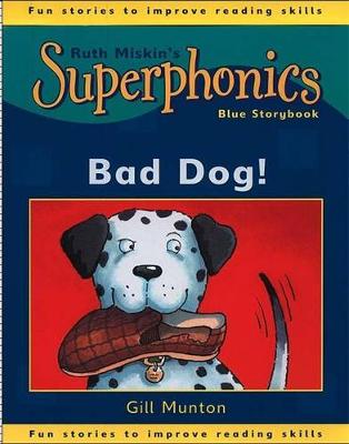 Book cover for Blue Storybook: Bad Dog!