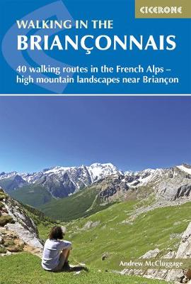 Book cover for Walking in the Brianconnais