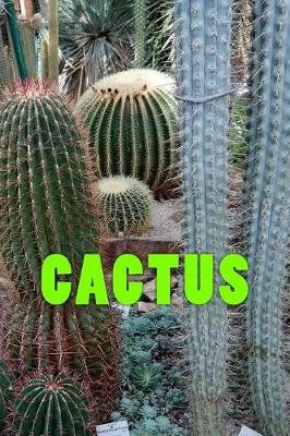 Book cover for Cactus (Journal / Notebook)