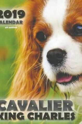 Cover of Cavalier King Charles 2019 Calendar (UK Edition)