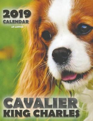 Book cover for Cavalier King Charles 2019 Calendar (UK Edition)