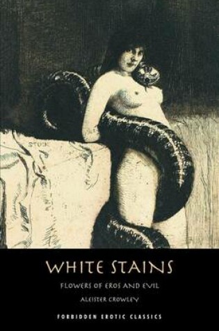 Cover of White Stains & the Nameless Novel