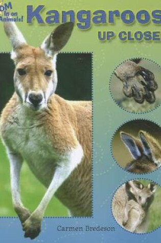 Cover of Kangaroos Up Close