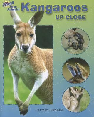 Book cover for Kangaroos Up Close