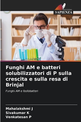 Cover of Funghi AM e batteri solubilizzatori di P sulla crescita e sulla resa di Brinjal