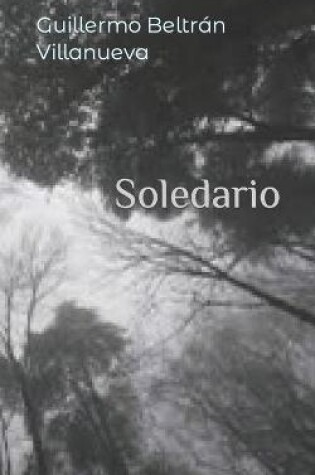 Cover of Soledario