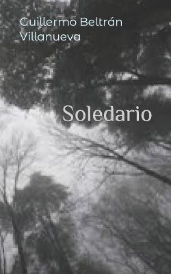 Book cover for Soledario