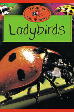 Cover of Ladybirds