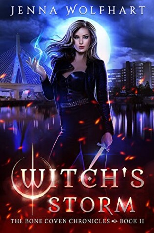 Cover of Witch's Storm