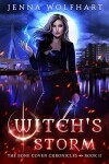 Book cover for Witch's Storm
