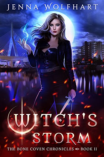 Cover of Witch's Storm