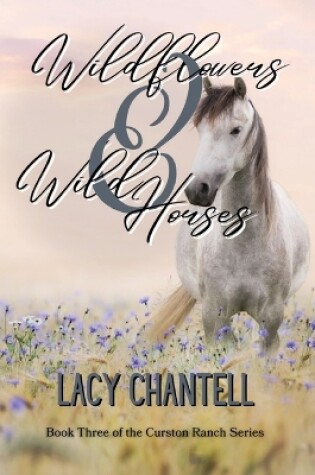 Cover of Wildflowers & Wild Horses