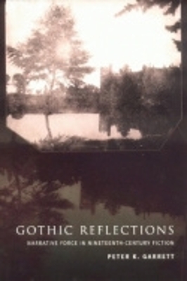 Book cover for Gothic Reflections