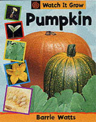 Book cover for Pumpkin