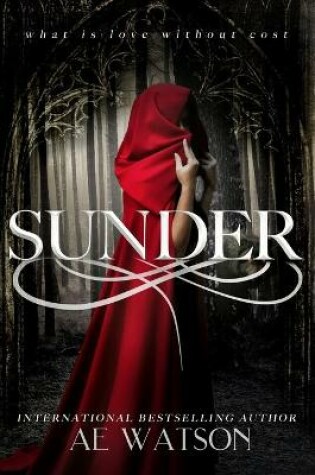 Cover of Sunder