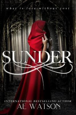 Book cover for Sunder