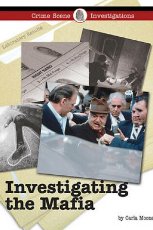 Cover of Investigating the Mafia