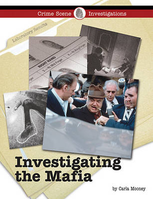 Book cover for Investigating the Mafia
