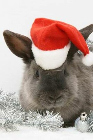 Cover of A Cute Gray Bunny Dressed Up for Christmas