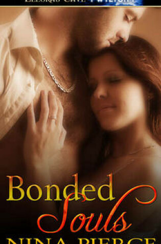 Cover of Bonded Souls