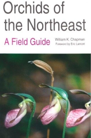 Cover of Orchids of the Northeast