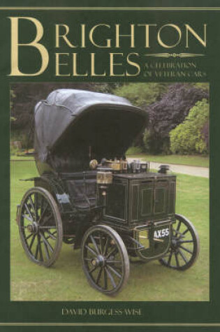 Cover of Brighton Belles