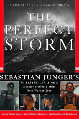 Cover of PERFECT STORM CL (MOVIE-TIE-IN)