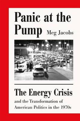 Book cover for Panic at the Pump