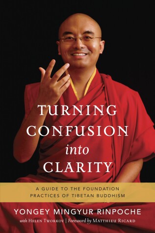 Book cover for Turning Confusion into Clarity