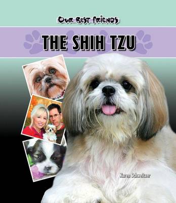 Cover of Shih Tzu