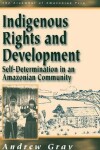 Book cover for Indigenous Rights and Development