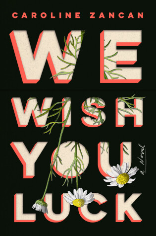 Cover of We Wish You Luck