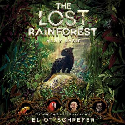 Book cover for The Lost Rainforest #1