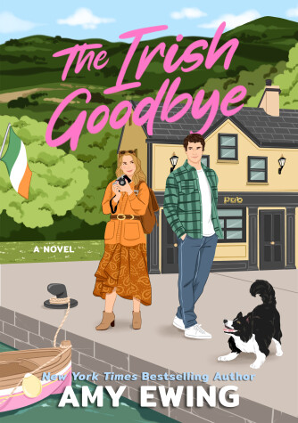 Book cover for The Irish Goodbye