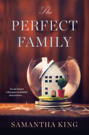 Cover of The Perfect Family